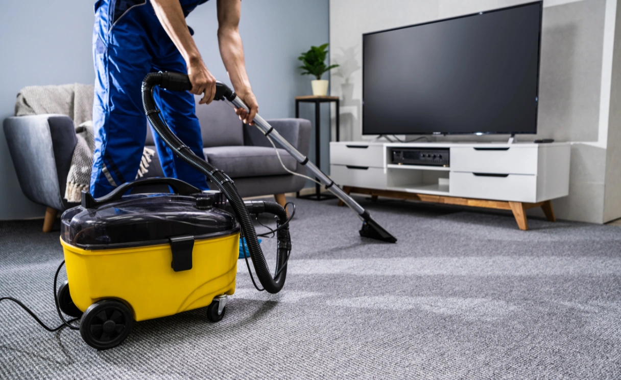 Extract End of Lease Cleaning Clematis Contact Office